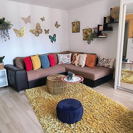 Sweet Butterflies Residence Braşov Exteriör bild
