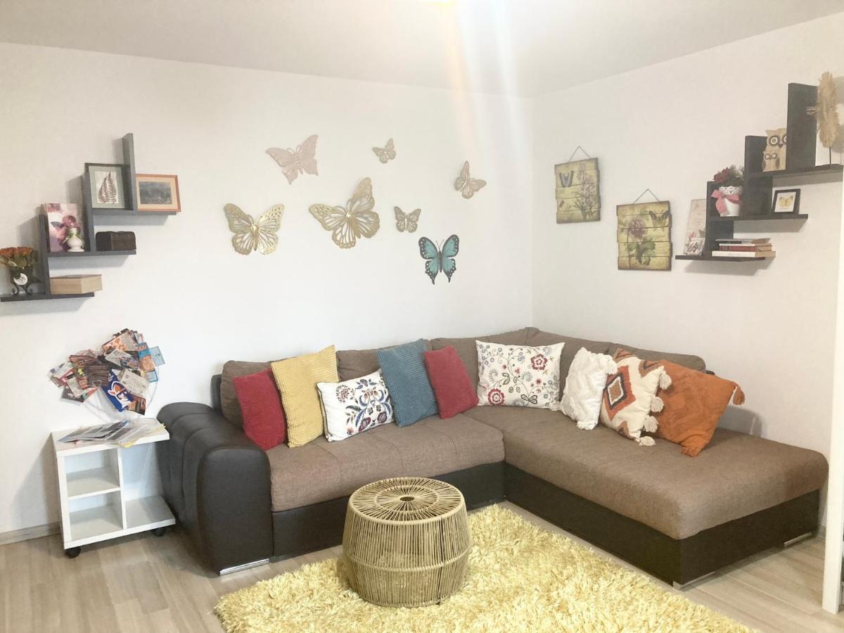 Sweet Butterflies Residence Braşov Exteriör bild